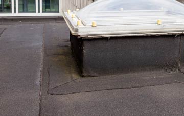 disadvantages of Blackpark flat roofs